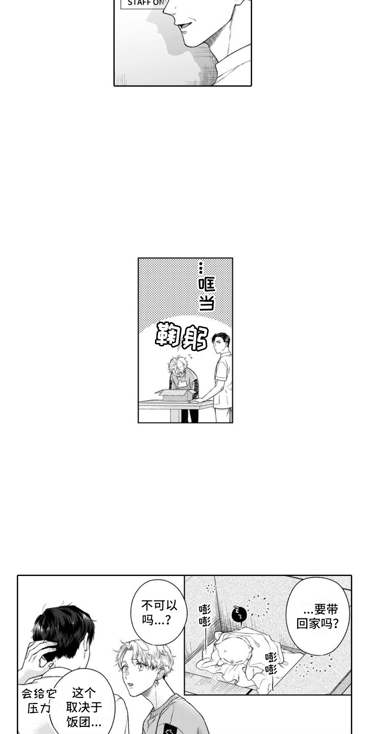 第49章：很像8