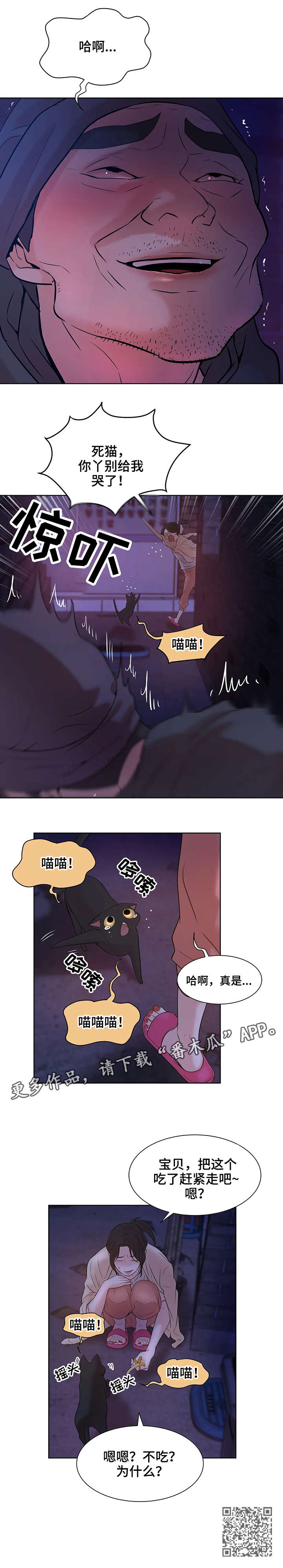 第13章：猫咪8