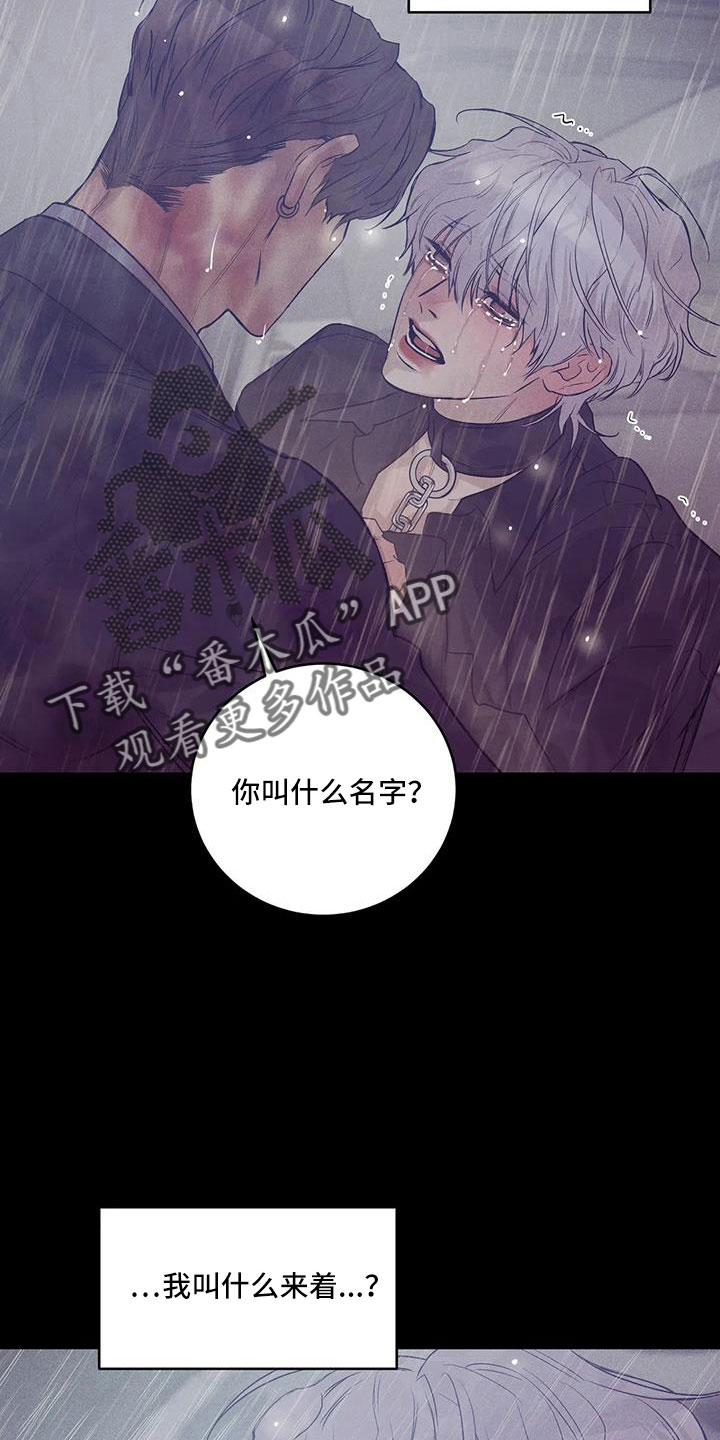 第146章：【第三季】等你回来14