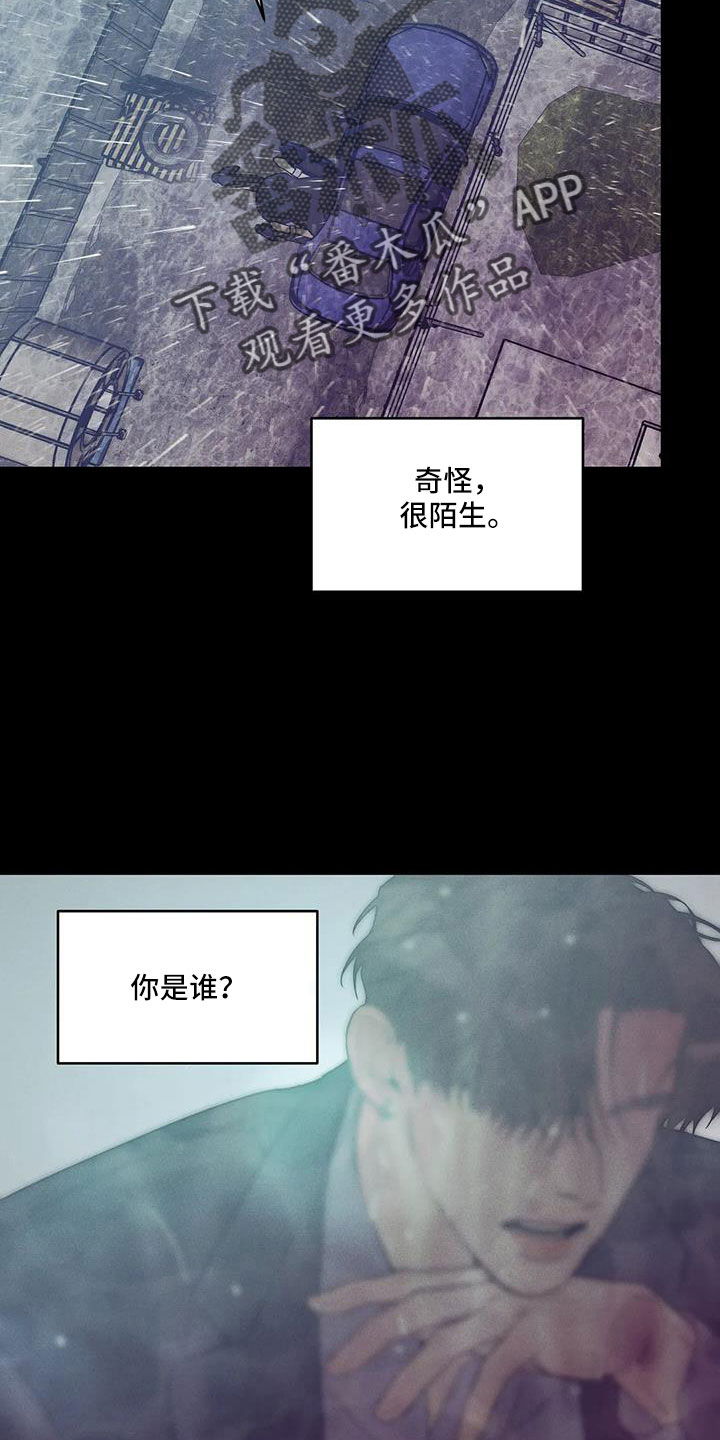 第146章：【第三季】等你回来8