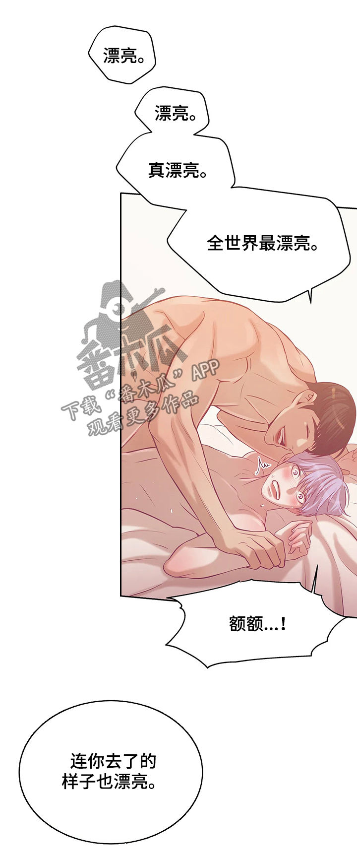 第55章：你真漂亮12