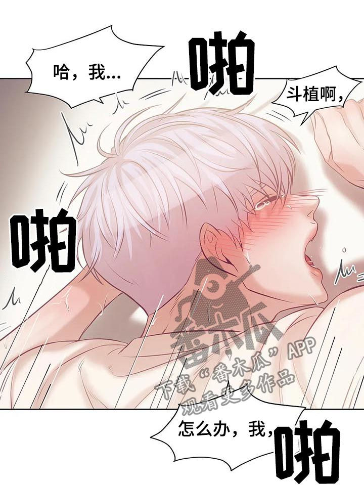 第34章：老练11