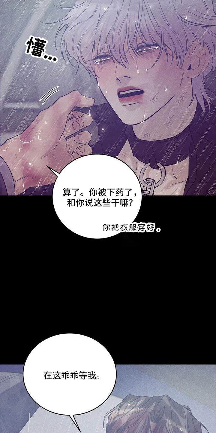 第146章：【第三季】等你回来15