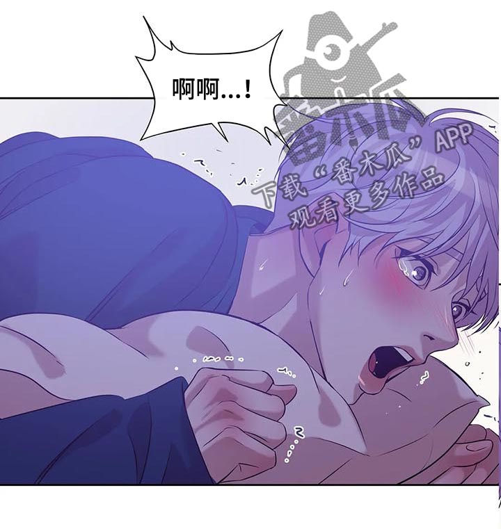 第46章：真固执8