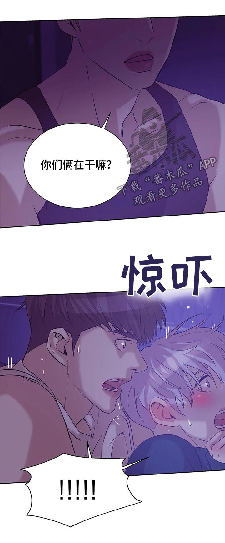 第46章：真固执12