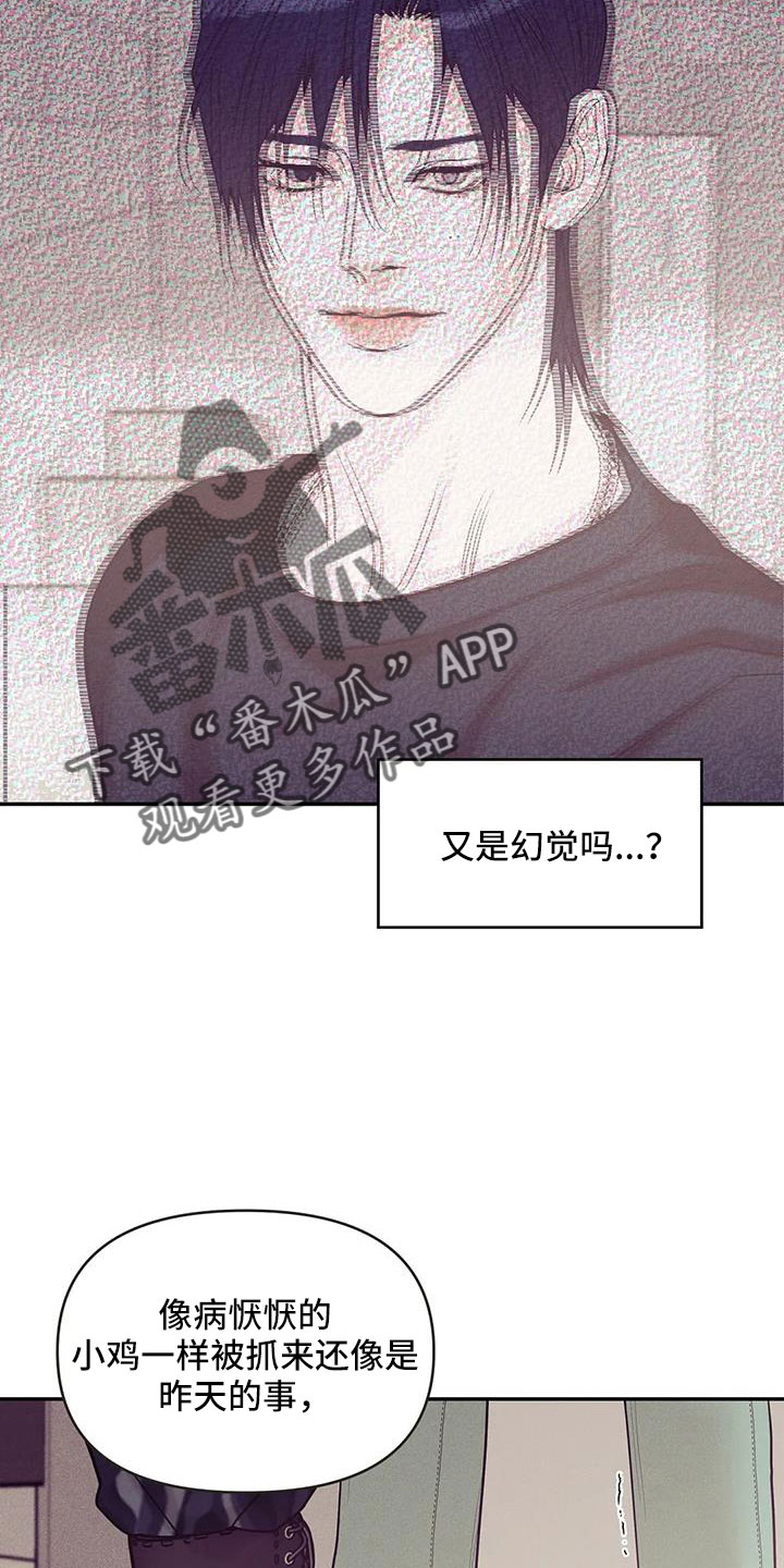 第143章：【第三季】遇袭29