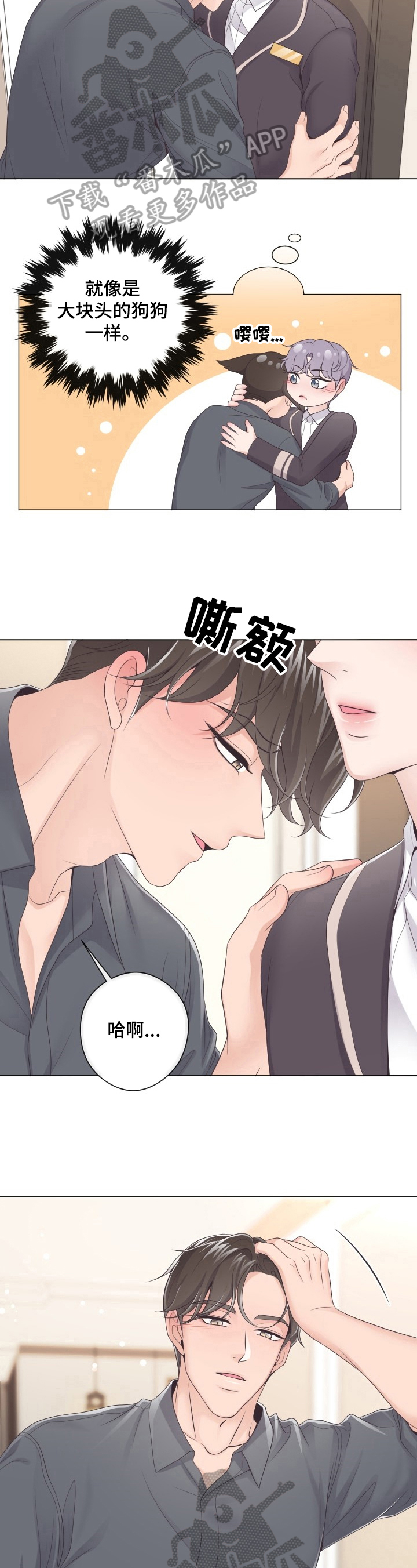 第15章：是非3