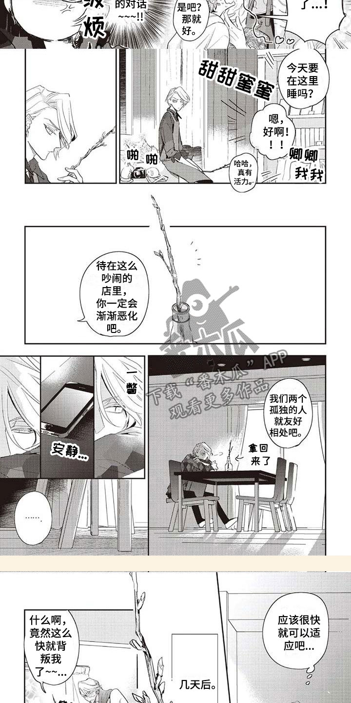 第5章：开花5