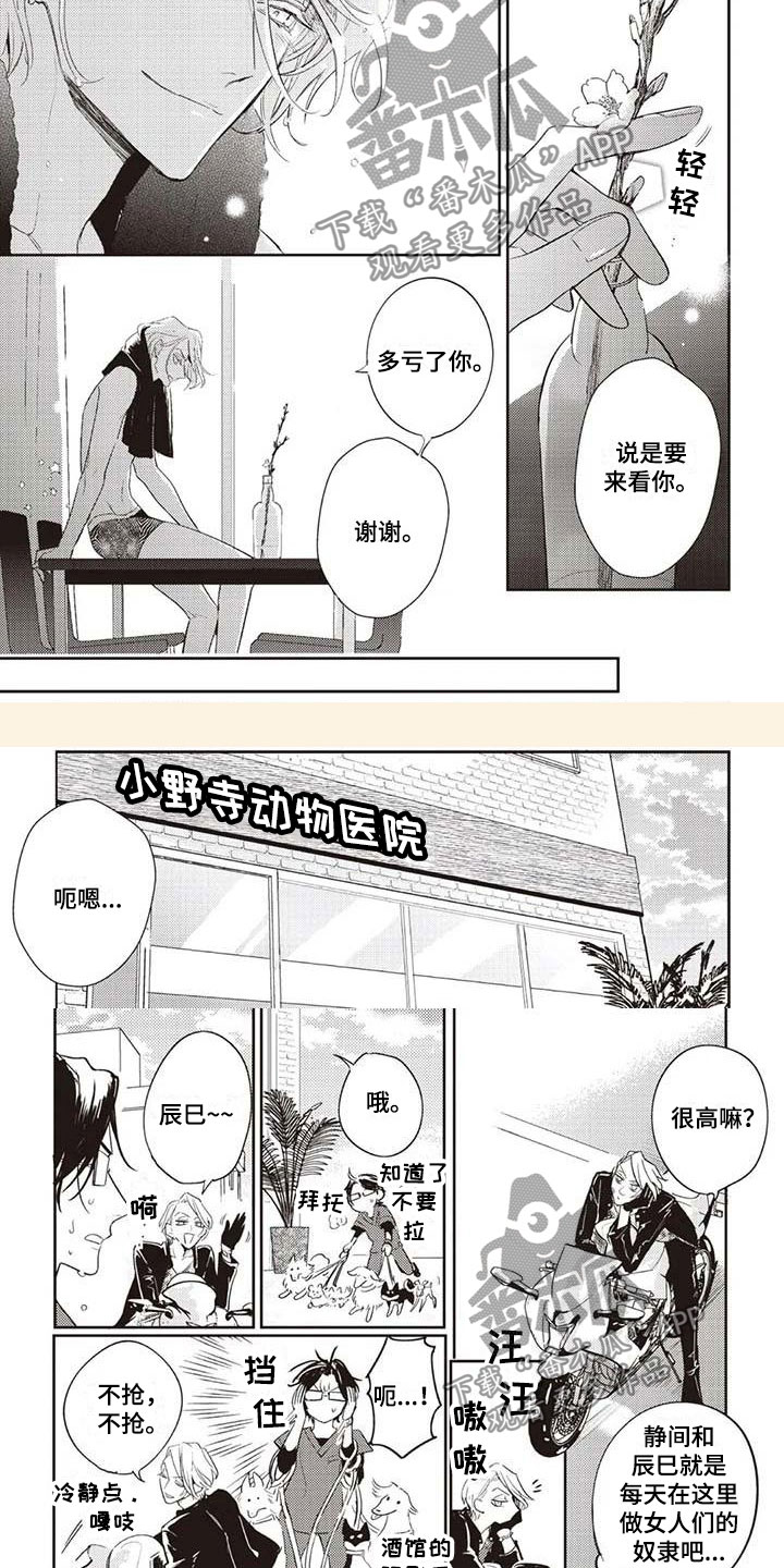 第6章：终于见面3