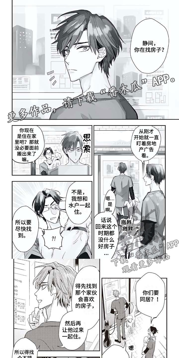 第15章：各自的行动0