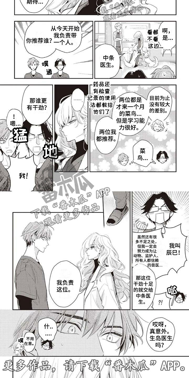 第20章：生岛医生6
