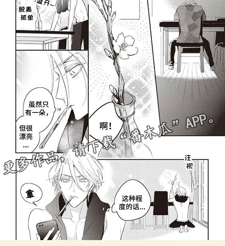 第5章：开花6