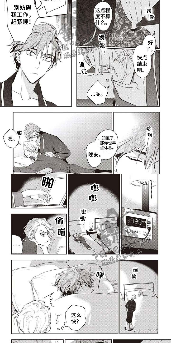 第29章：摄影考察6