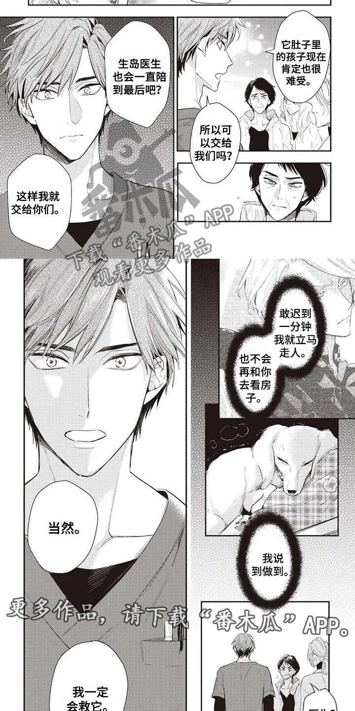 第24章：紧急情况5