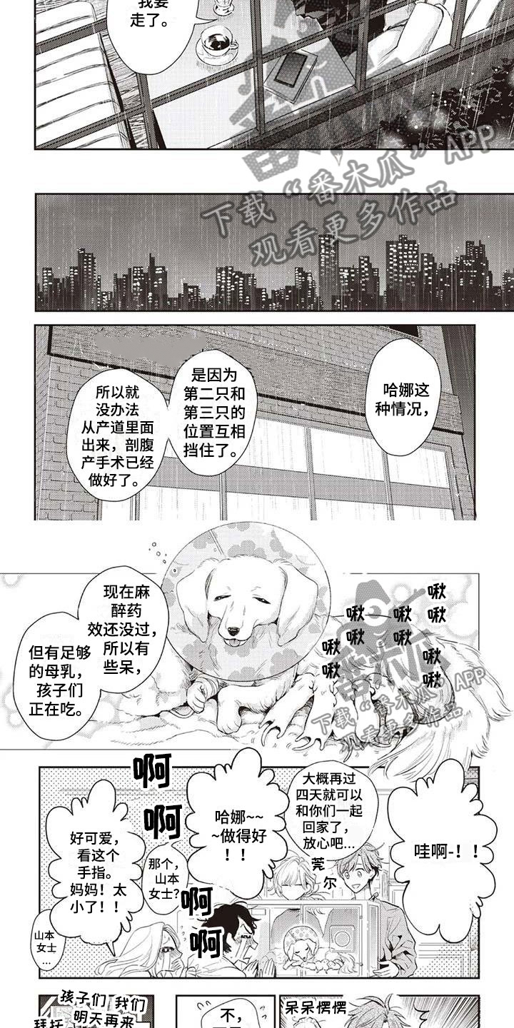 第25章：违约6