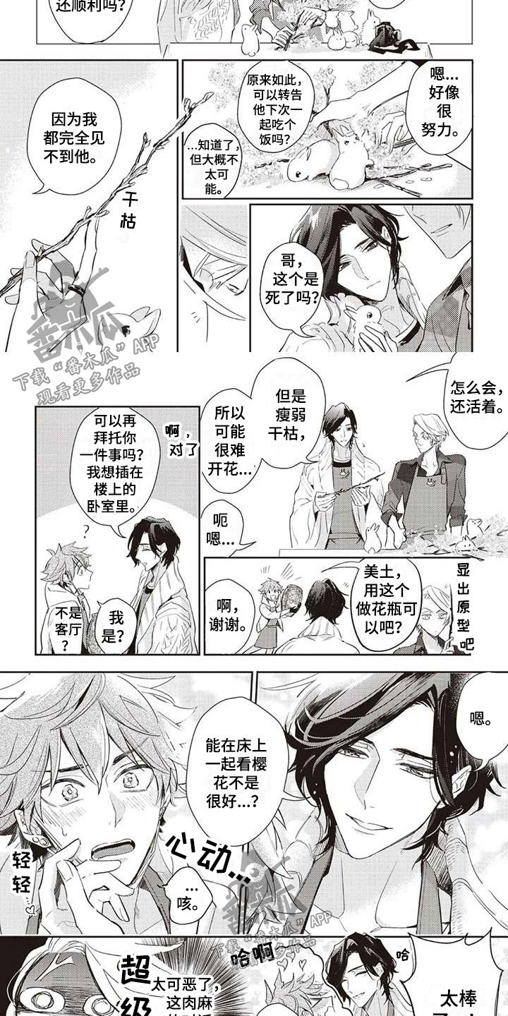 第5章：开花4