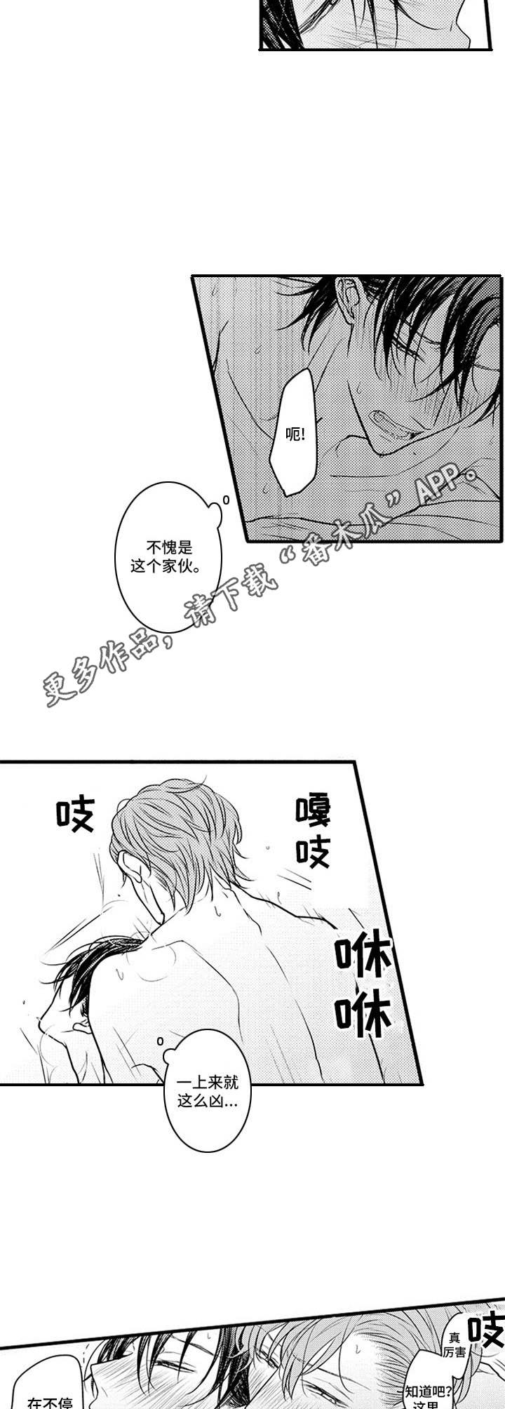 第13章：一时兴起4
