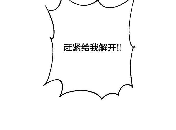 第67章：赶紧给我解开24