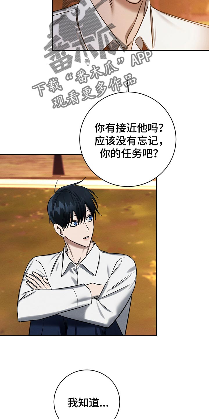 第38章：好奇的20