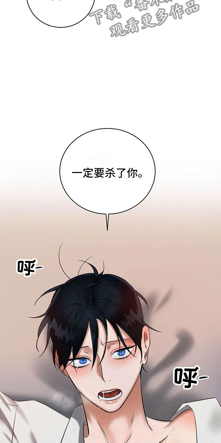 第15章：我好期待17