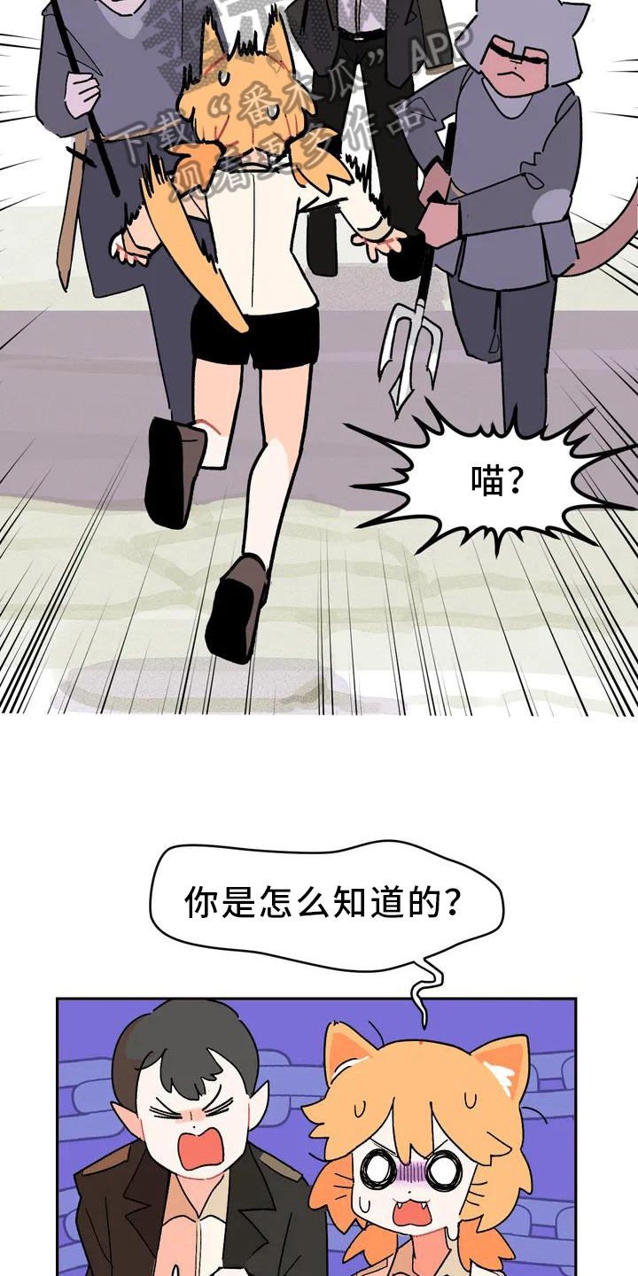 第5章：巧计10