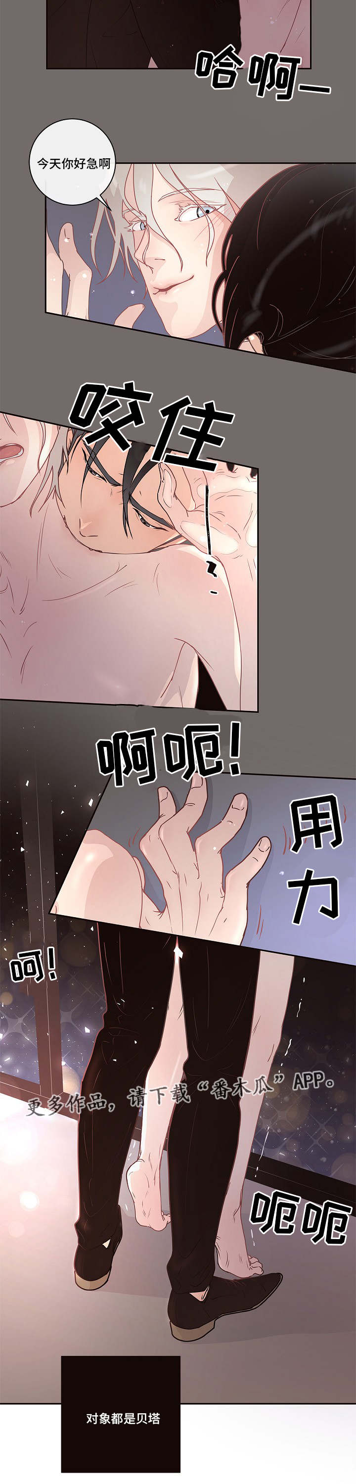 第6章：调查10