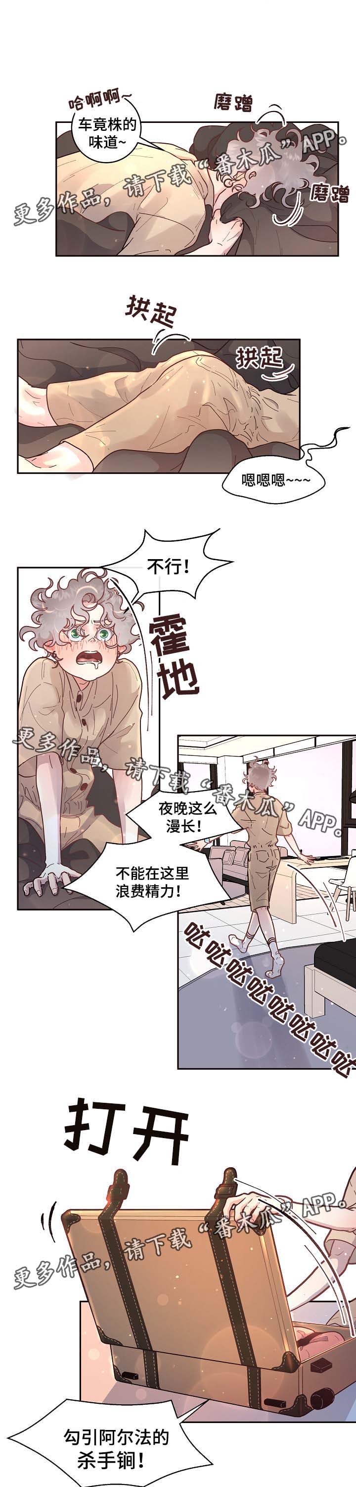 第52章：惊喜5
