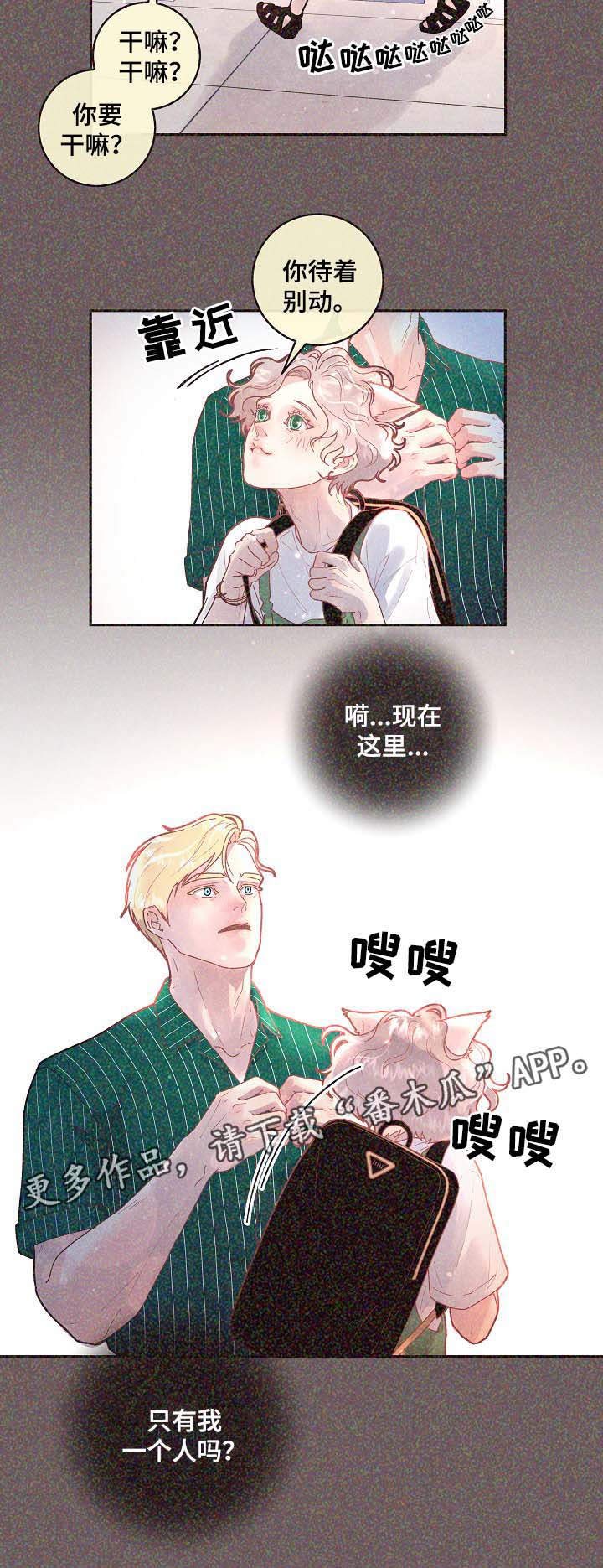 第68章：标记是什么6