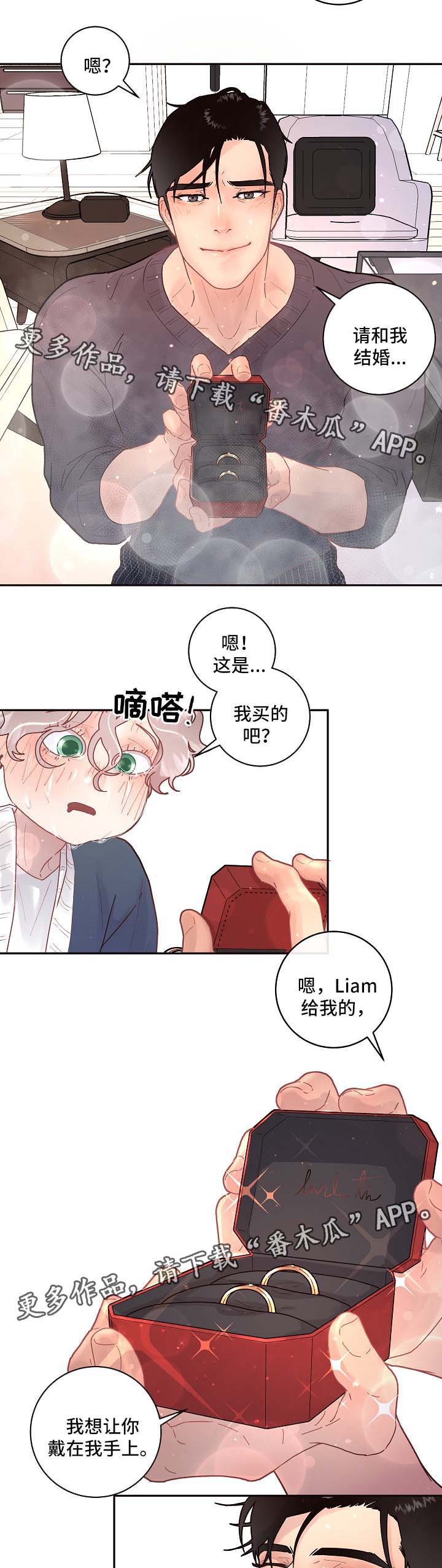 第77章：怀孕与求婚（第二季完结）5