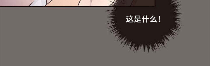 第6章：调查17