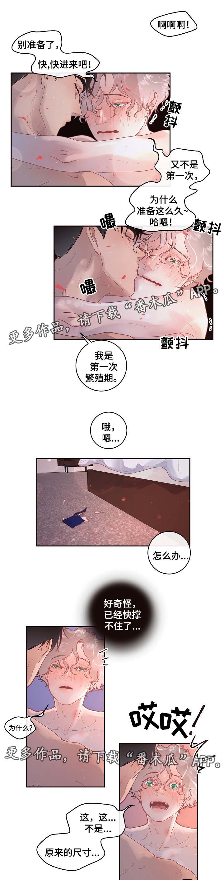 第72章：第一次繁殖期6