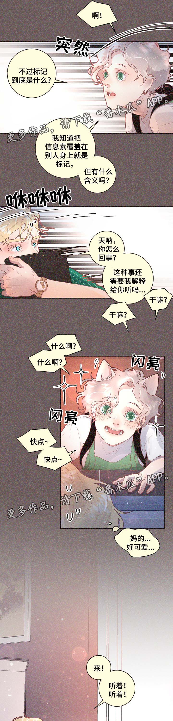 第68章：标记是什么2