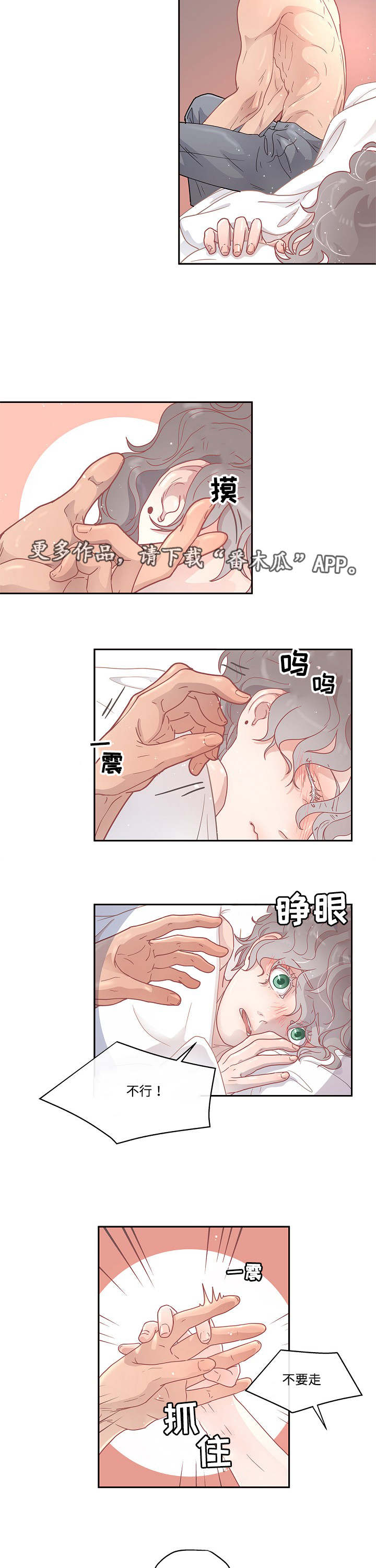第11章：同意13