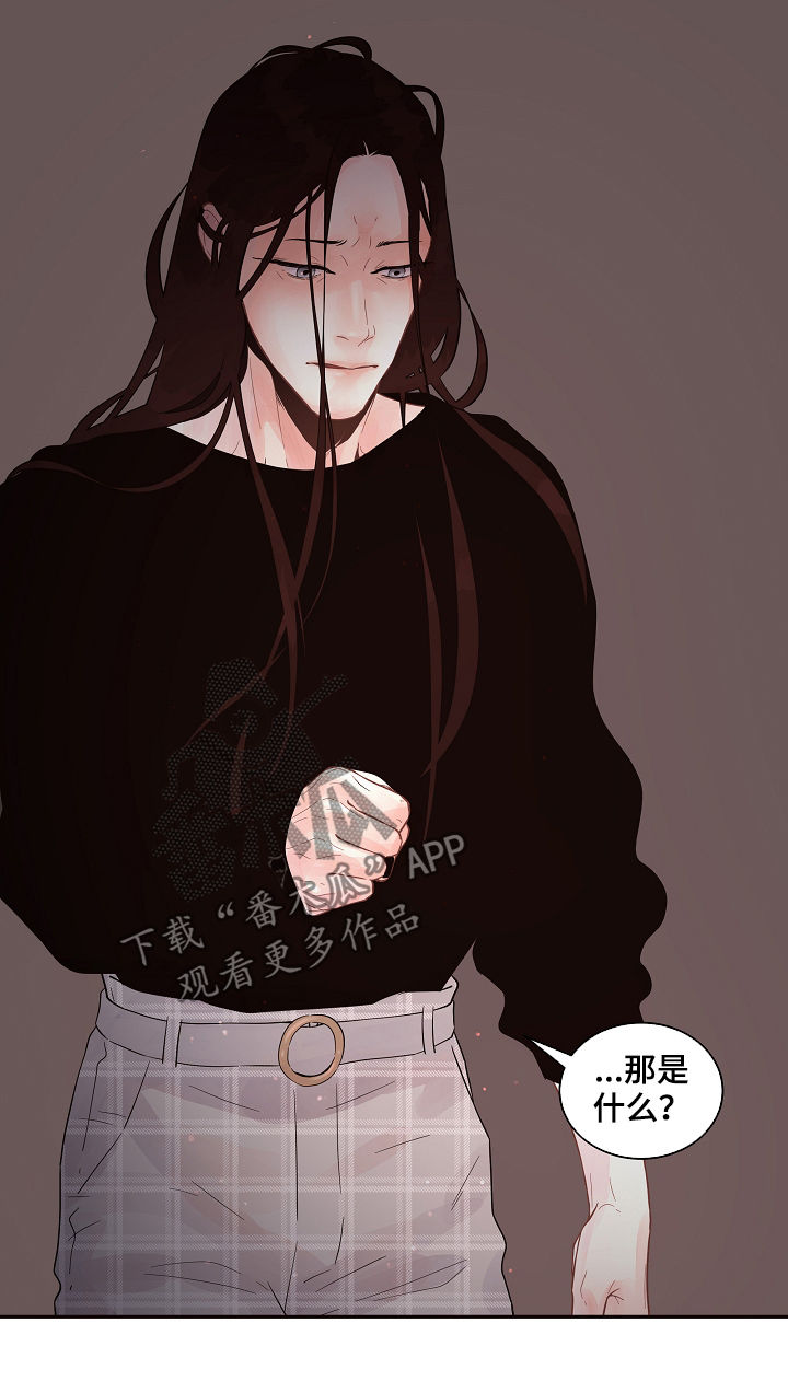 第148章：【番外】不是错误9