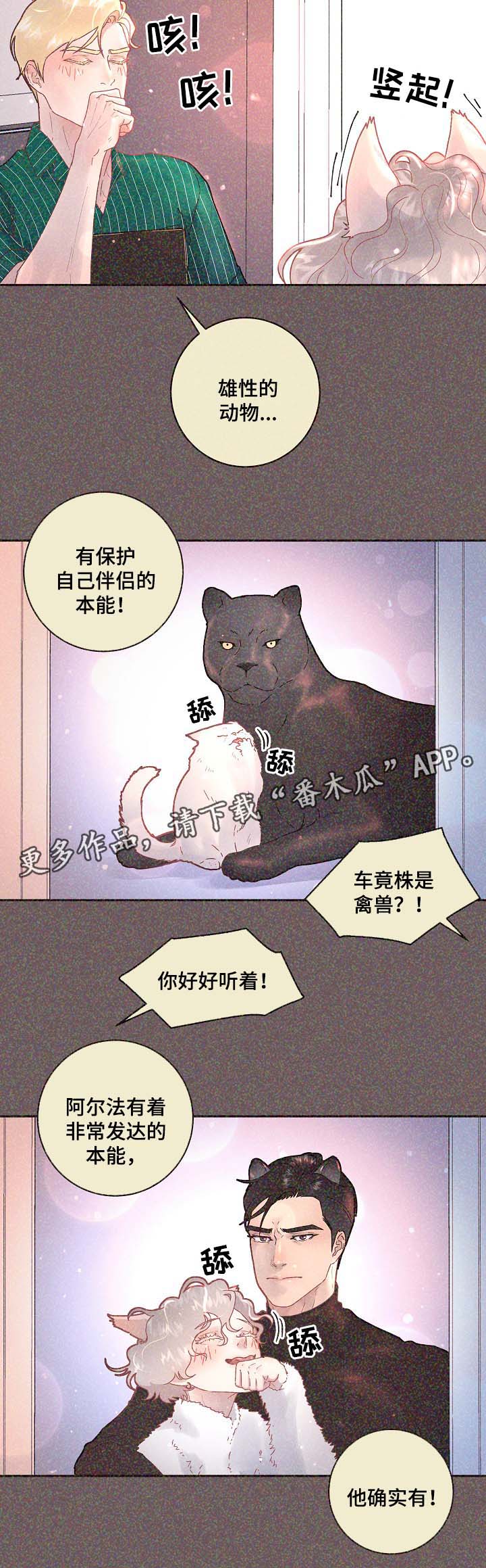 第68章：标记是什么3