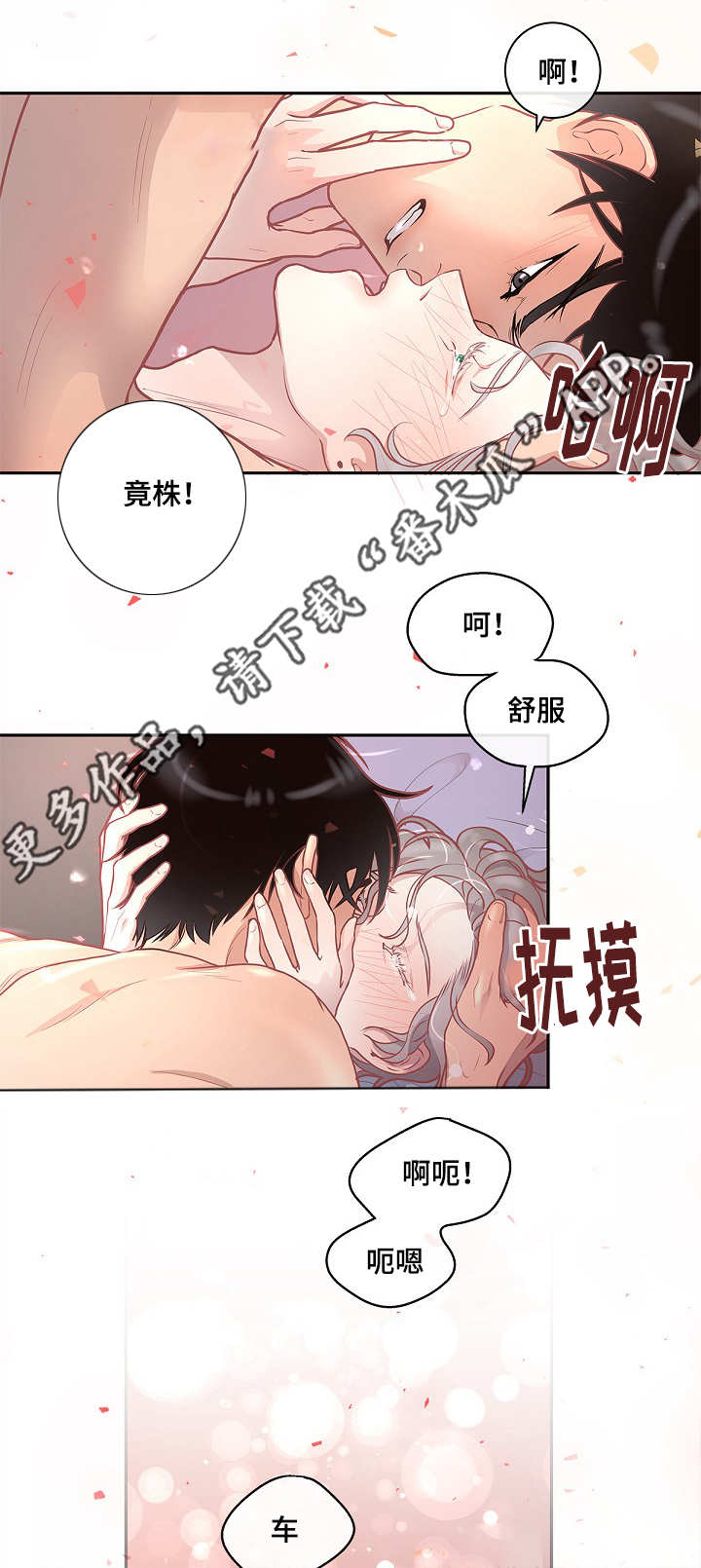 第17章：睡着的样子4