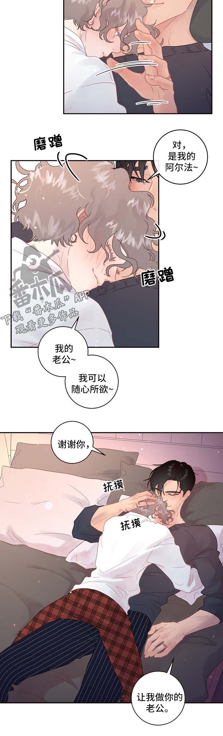 第78章：【第三季】我的阿尔法2