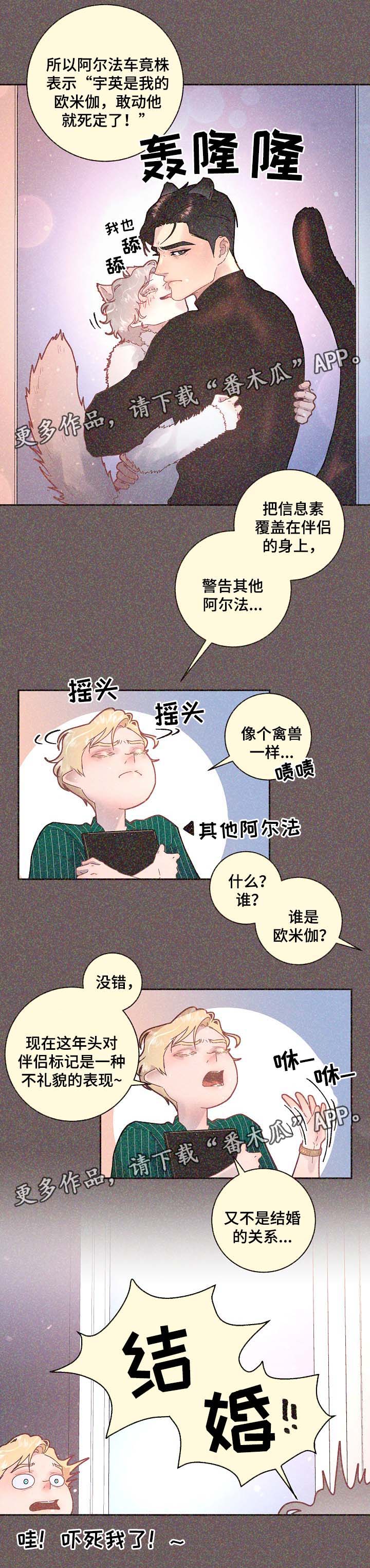 第68章：标记是什么4
