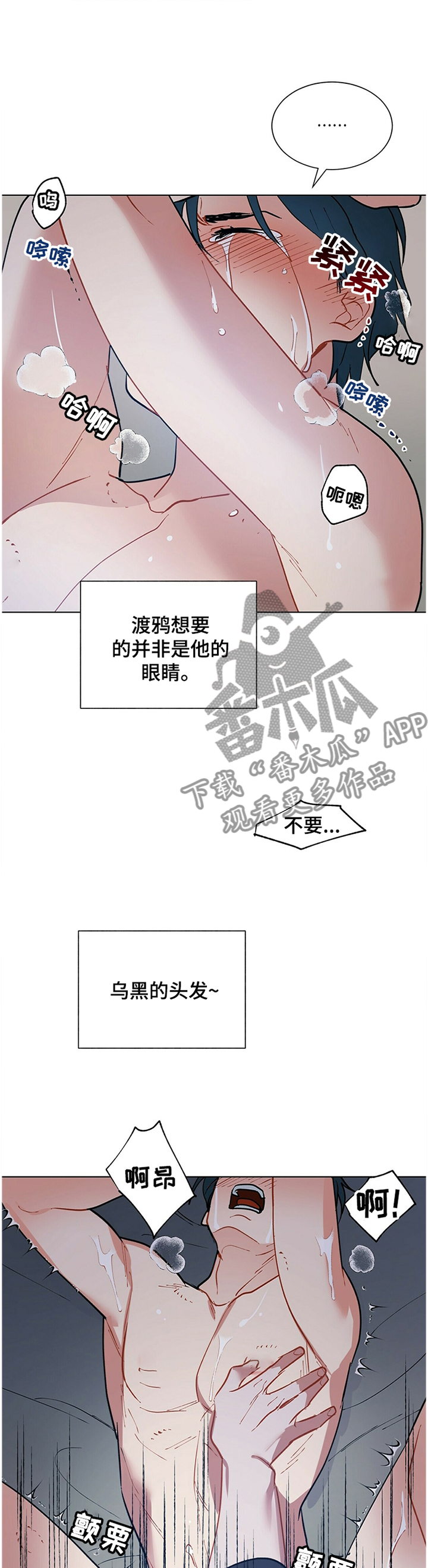 第56章：原来如此7