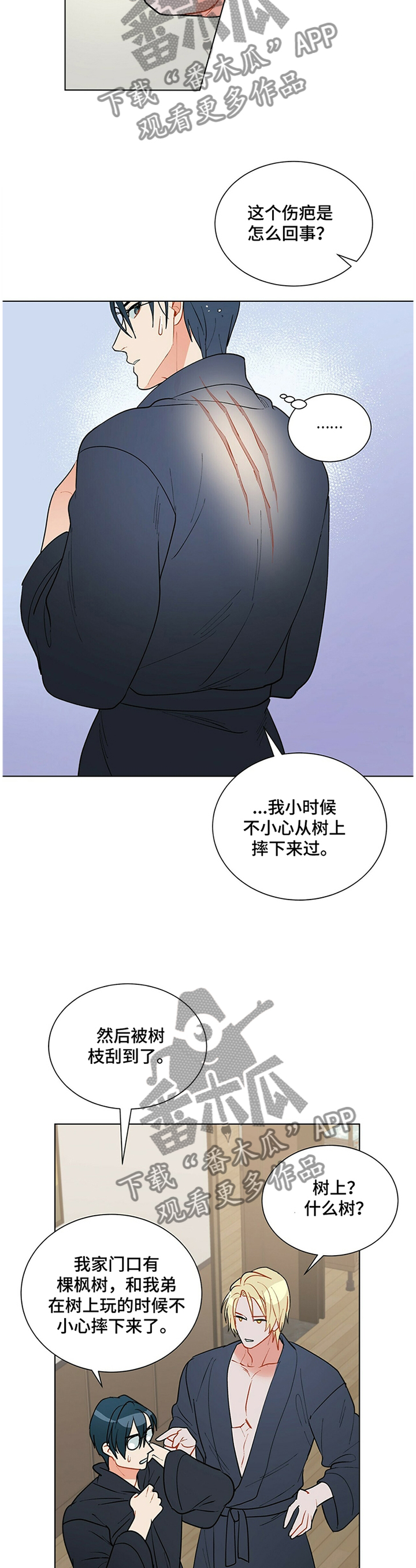 第40章：打扰8