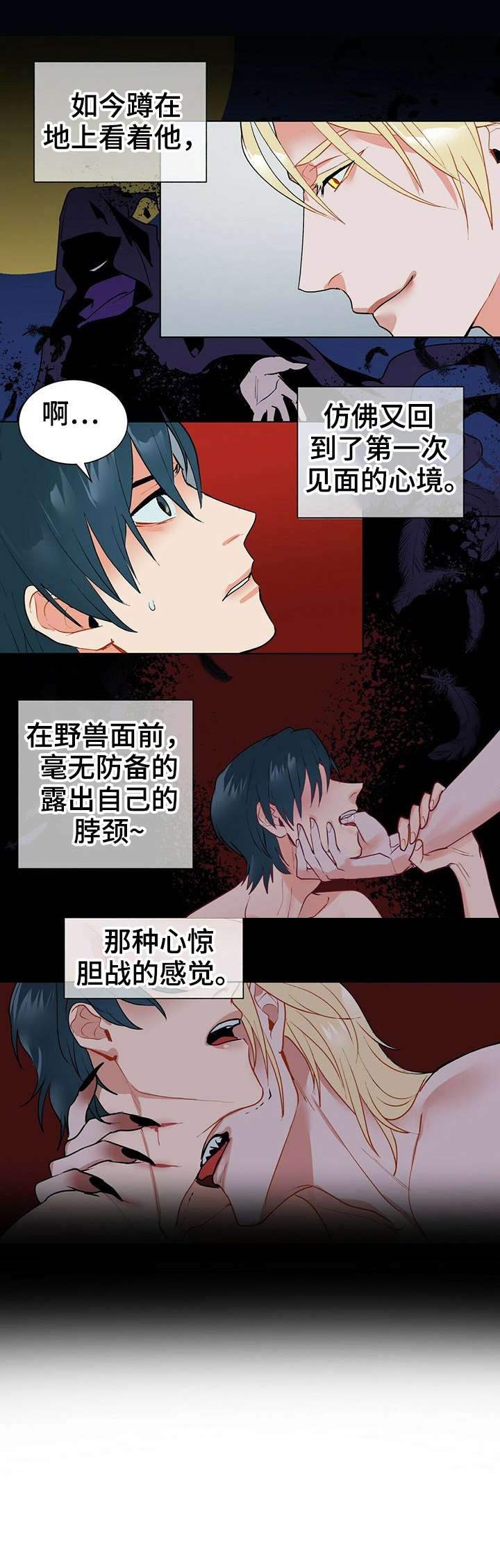 第11章：理想型5