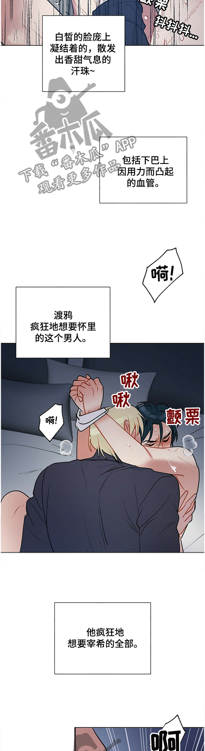 第56章：原来如此8