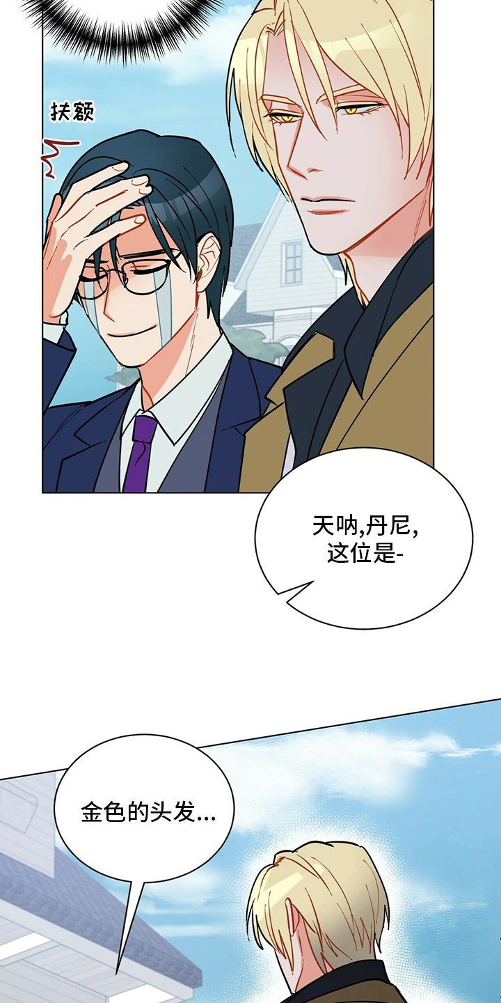 第110章：【番外】完蛋了20