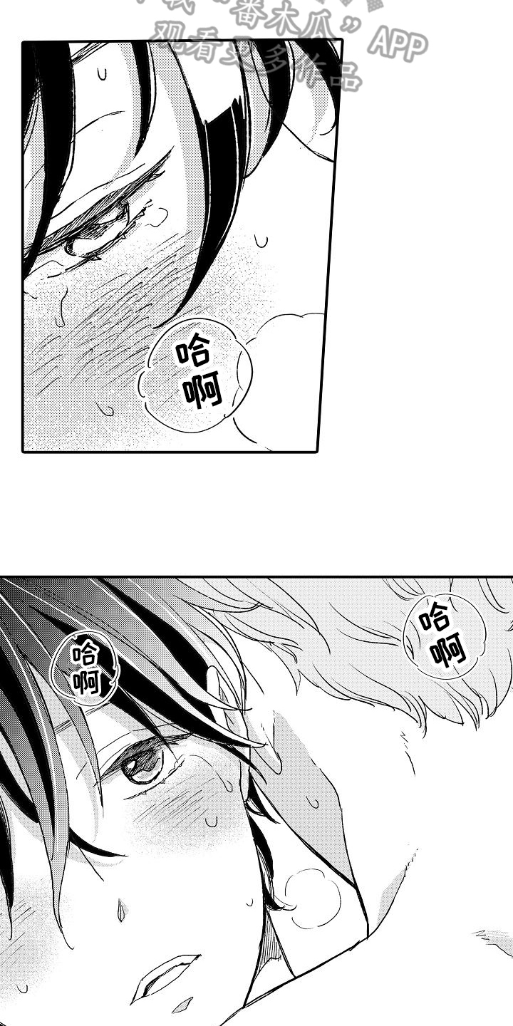 第17章：熟悉11