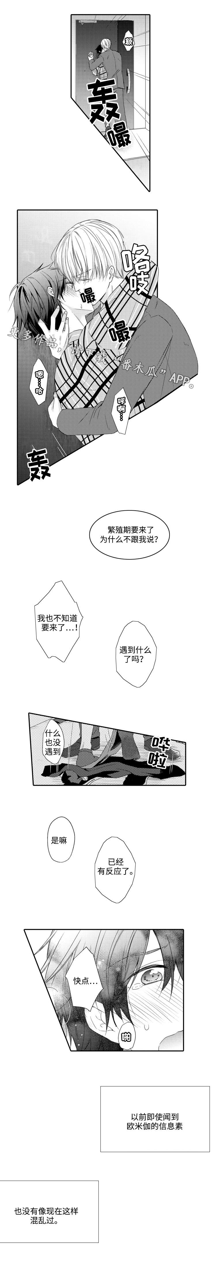 第11章：期待3