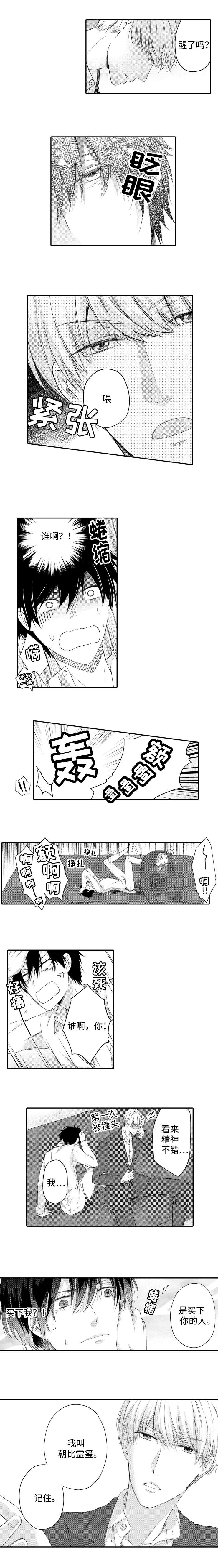第3章：要求1