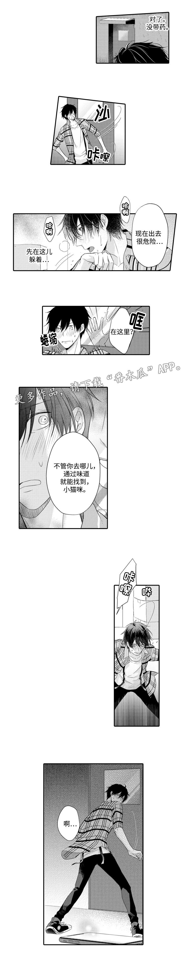 第11章：期待1