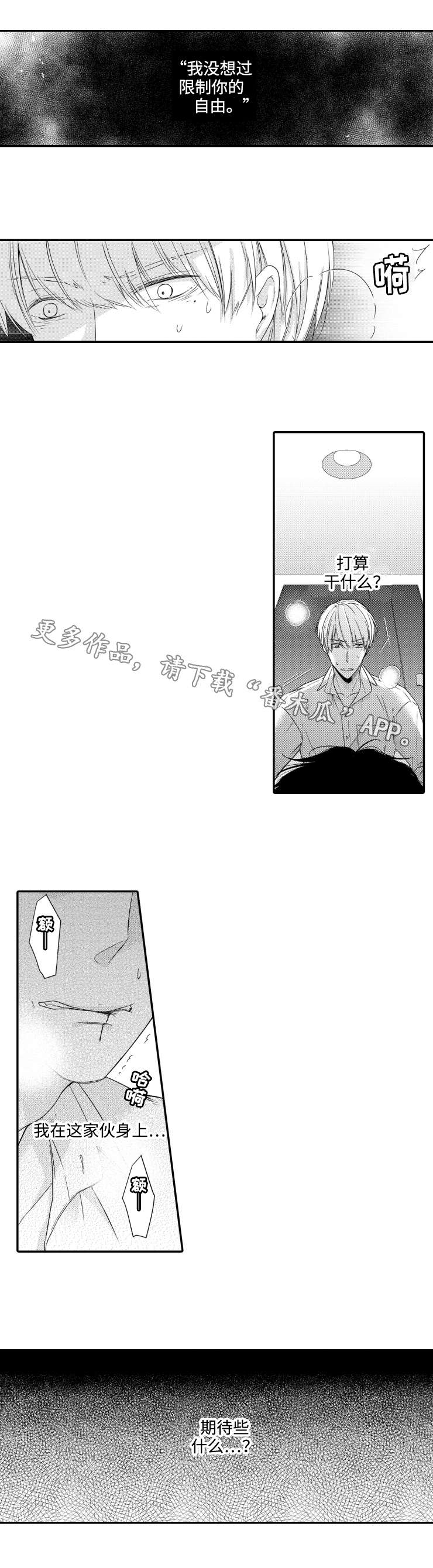 第11章：期待5