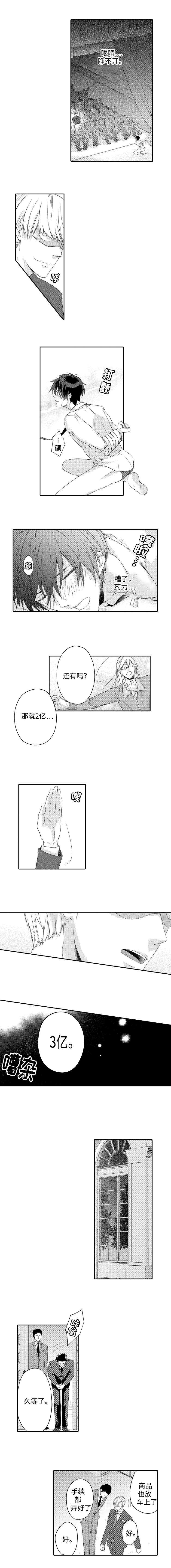 第2章：拍卖3