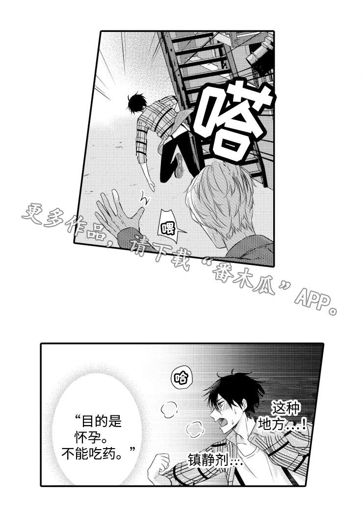 第11章：期待0